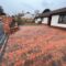Block Paving